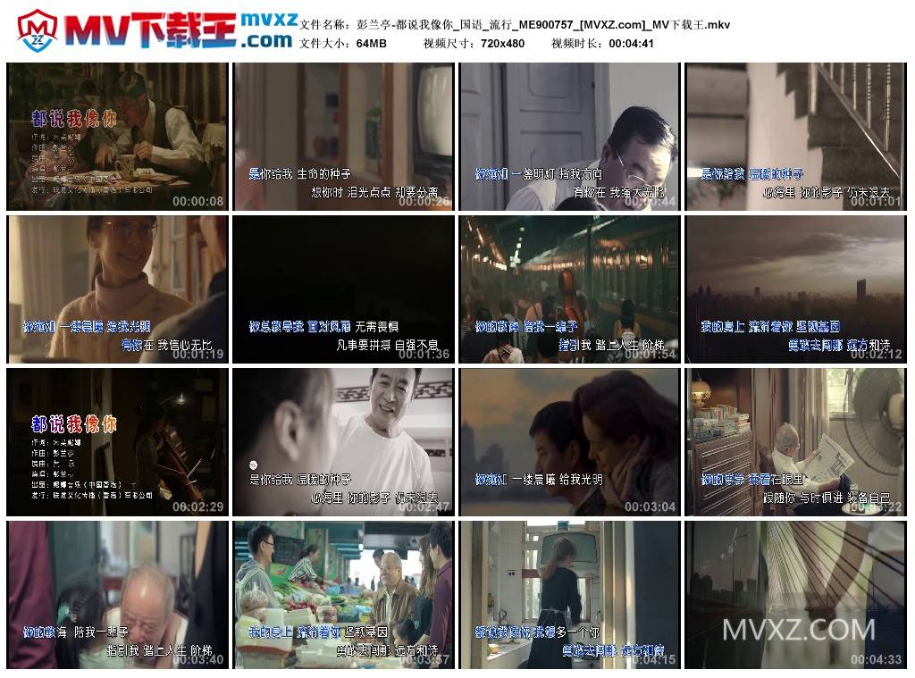 彭兰亭-都说我像你_国语_流行_ME900757